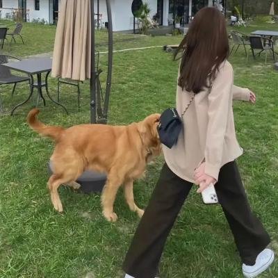 无名草